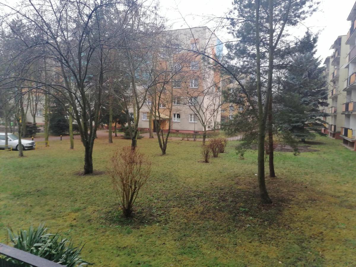 Apartament Terebelska P Biała Podlaska Esterno foto